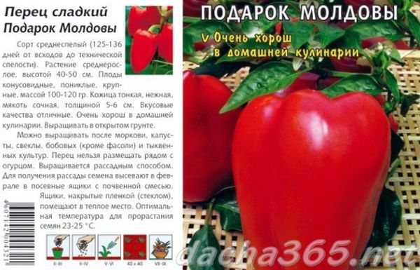 Перец «подарок молдовы» отзывы, фото, посадка и уход, урожайность