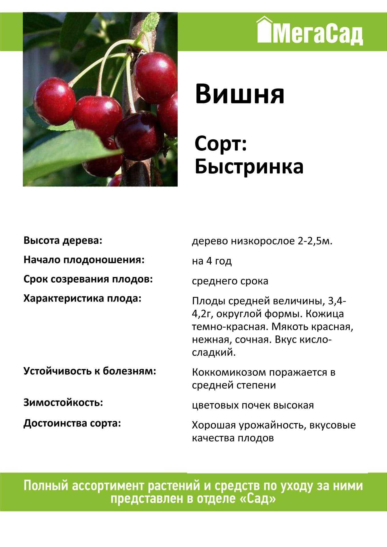 В огороде и саду