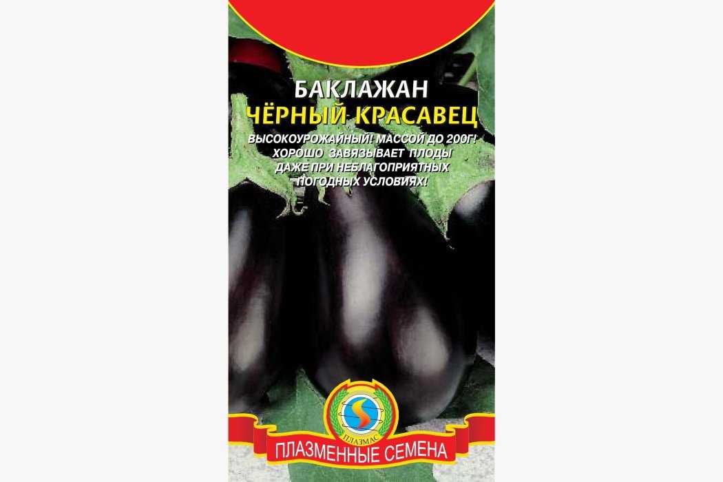 Баклажан черный красавец: описание сорта, фото, характеристика плодов, отзывы, урожайность