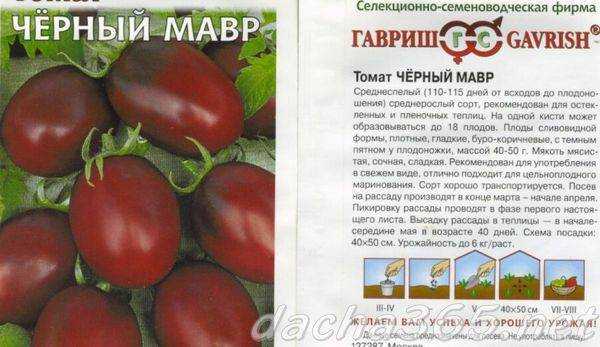 Томат черная лакомка: характеристика и описание сорта, урожайность, отзывы