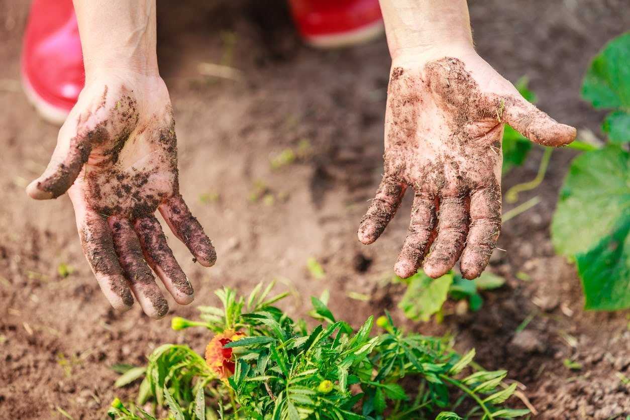 Средства для отбеливания кожи рук и ногтей после работы в саду и огороде: как их сделать в домашних условиях