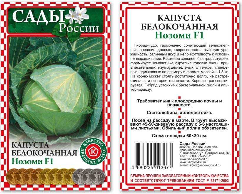 Капуста подарок: описание сорта и характеристика урожайности и вкусовых качеств, фото кочанов и отзывы, можно ли солить на зиму белокочанную, когда убирать