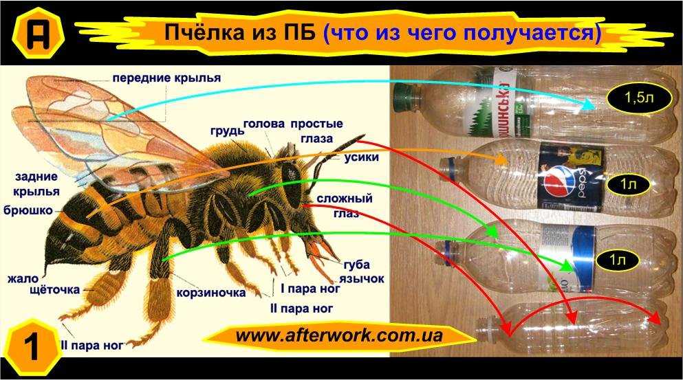 Поилка для пчел своими руками: из пластиковой бутылки, как сделать с подогревом