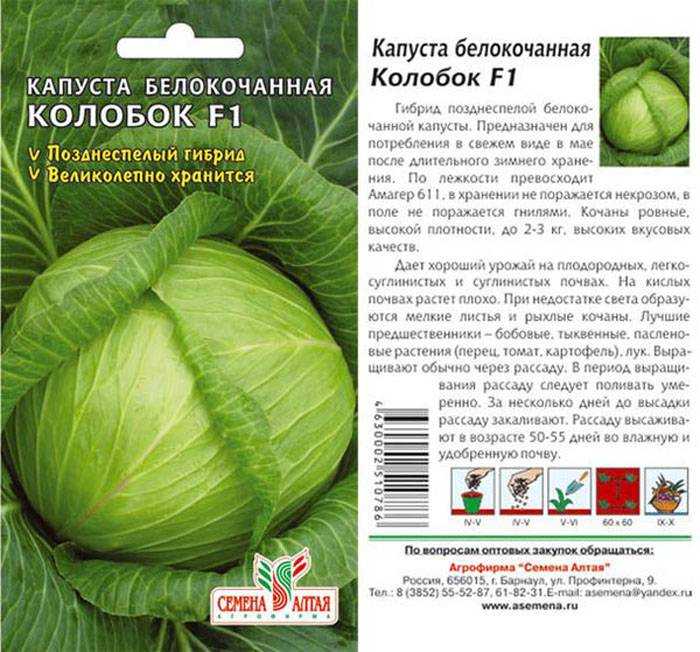 Капуста июньская: описание, отзывы, фото и характеристика раннего сорта