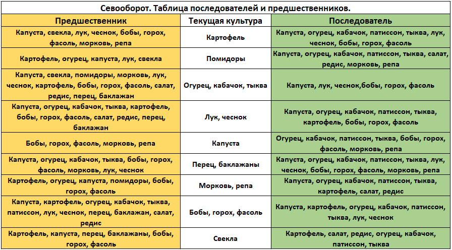 Пять способов севооборота для дачного участка