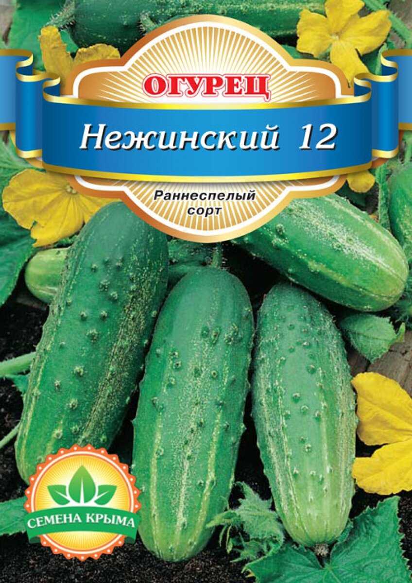 Огурец нежинский: описание сорта, выращивание, отзывы, фото