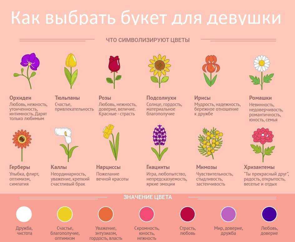 Сколько роз можно дарить девушке - количество цветов на разные поводы, значение цвета и оттенков