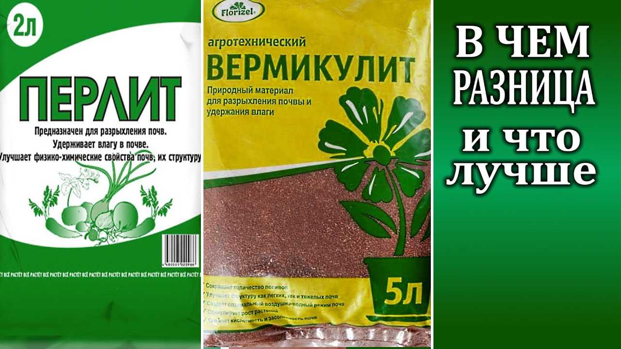 Перлит и вермикулит — в чём разница и зачем они нужны?