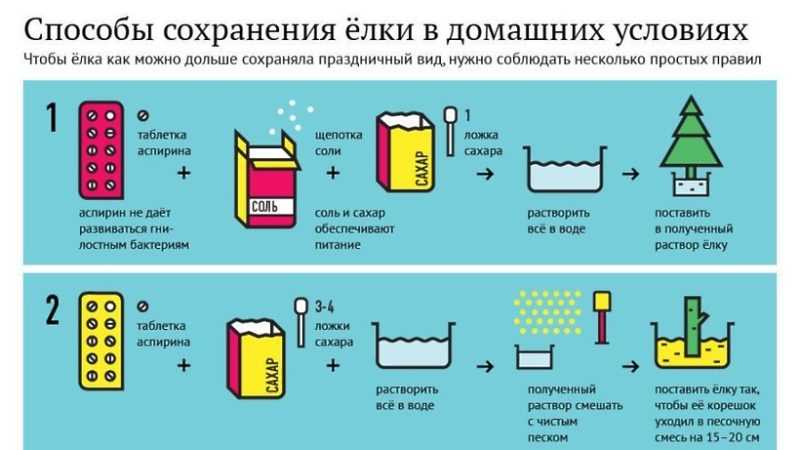Что делать, чтобы елка долго стояла