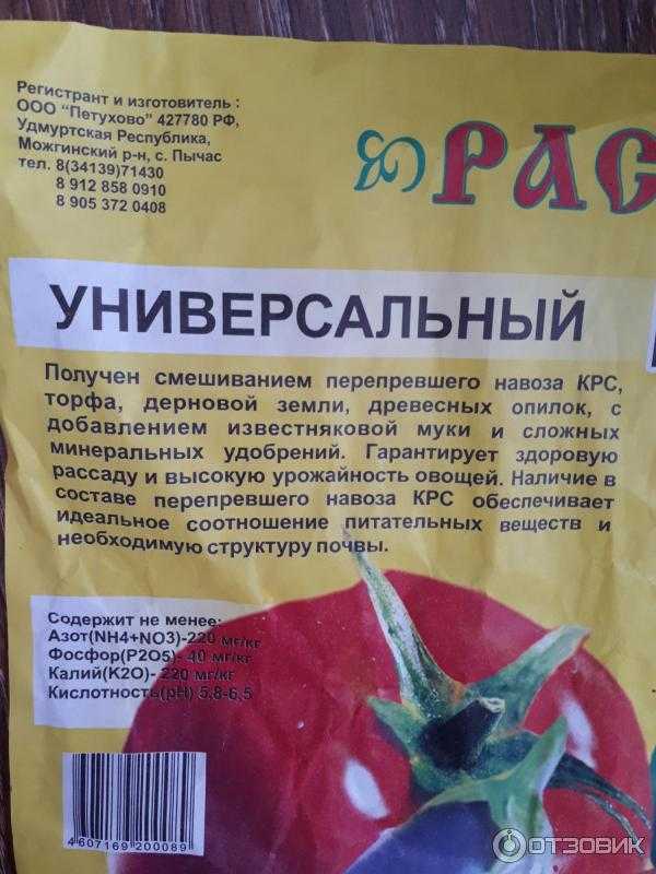 Грунт для рассады томатов и перцев: состав, подготовка почвы в домашних условиях