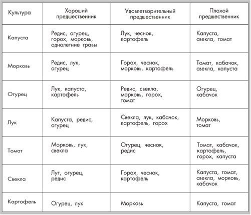 Что можно сажать после картофеля в открытом грунте на следующий год