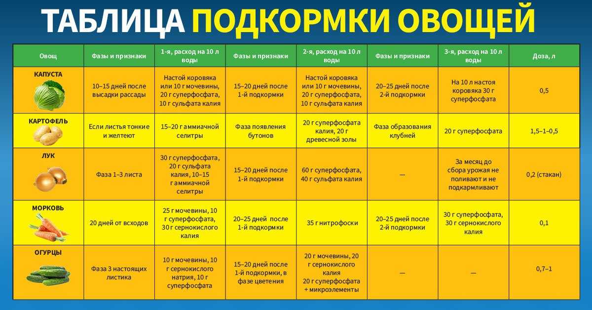 Чем подкормить капусту: какие удобрения вносить, что повысит урожай капусты