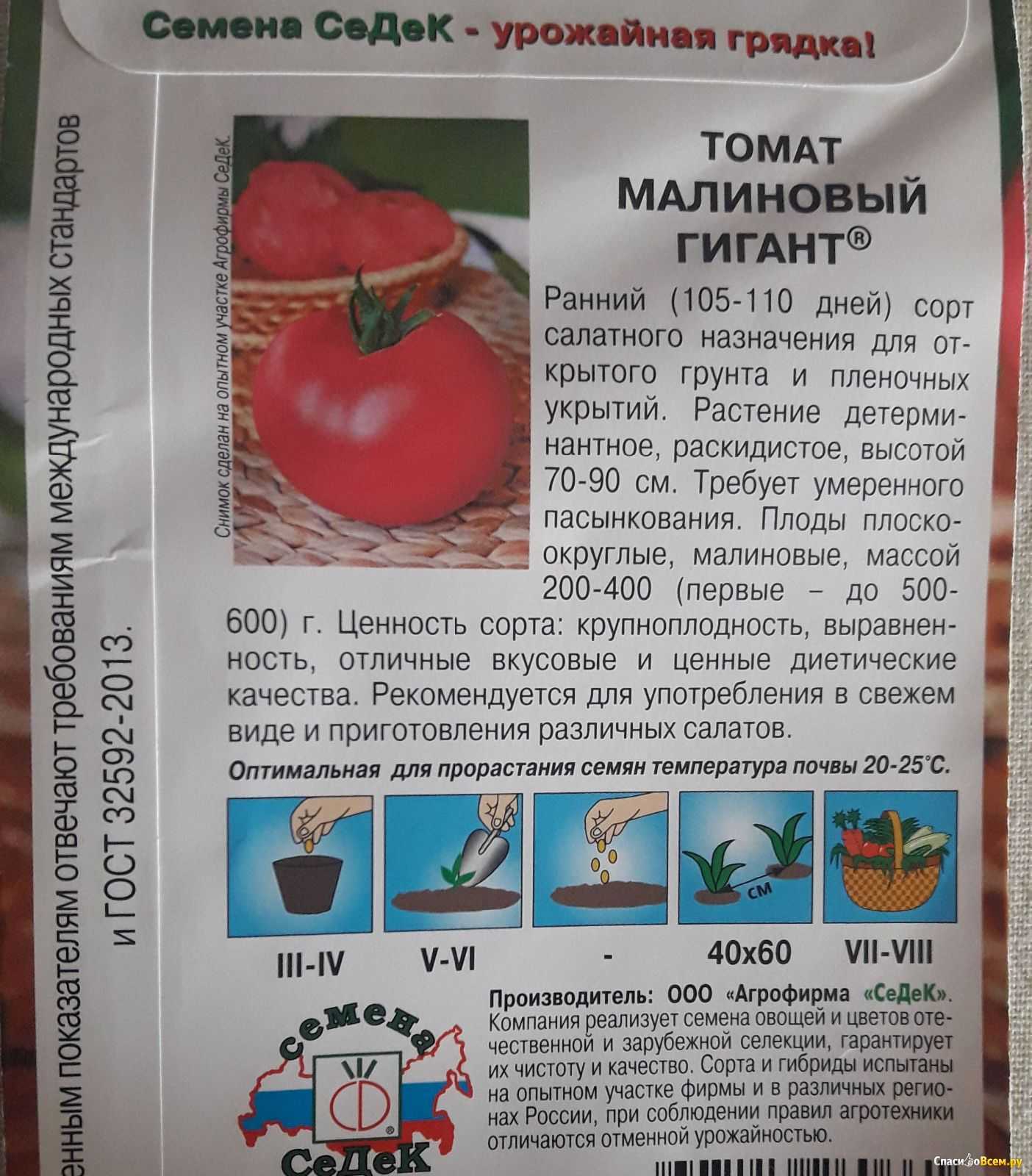 Томат малиновый гигант: описание сорта, правила посадки и выращивания, отзывы дачников