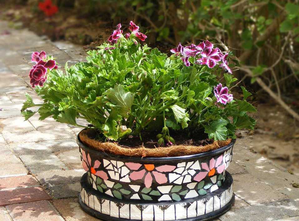 Как сделать кашпо для цветов своими руками для сада: фото