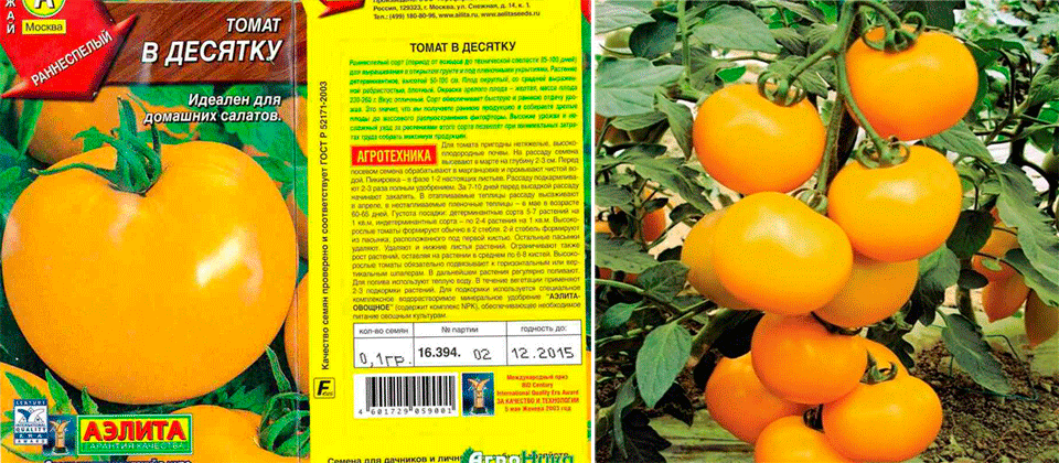 Томаты оранжевые лучшие сорта для теплиц и открытого грунта - 18 сортов в 2023 году на гудгрунт
