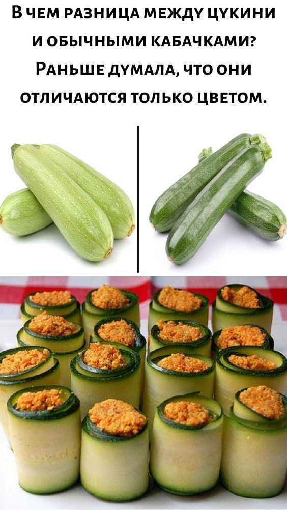Цукини и кабачки: чем отличаются по вкусу и можно ли заменить одно другим