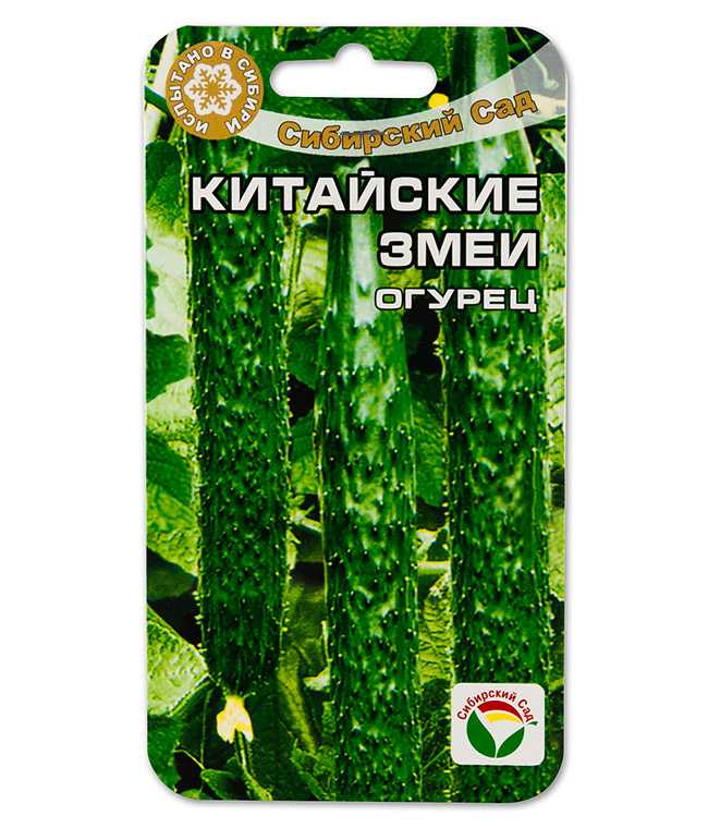 Китайский огурец: описание, сорта, фото, выращивание и уход