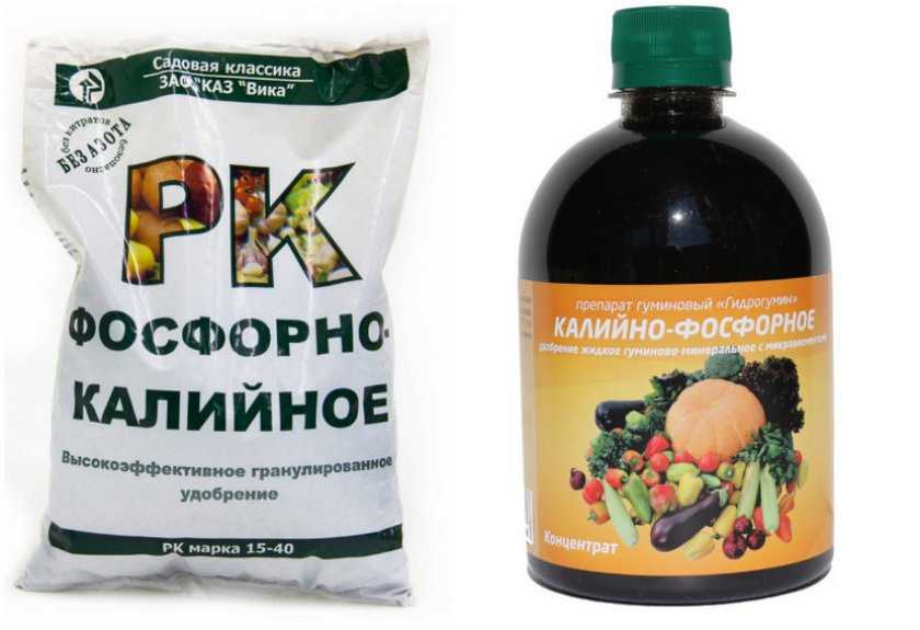 Простой и двойной суперфосфат: инструкция по применению в качестве удобрения и для подкормок