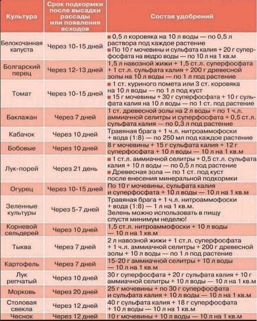 Таблица подкормки огородных растений