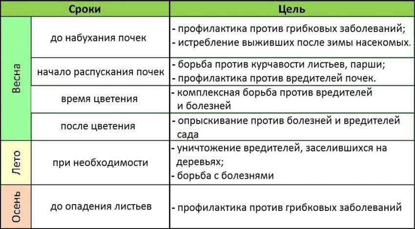 Обработка сада осенью от вредителей и болезней: чем обработать почву и грядки, кустарники и плодовые деревья
