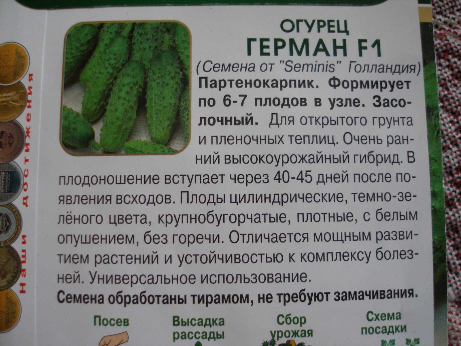 Лучшие сорта кустовых огурцов