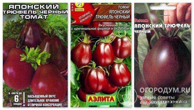Томат трюфель красный: описание сорта, характеристика, отзывы, фото