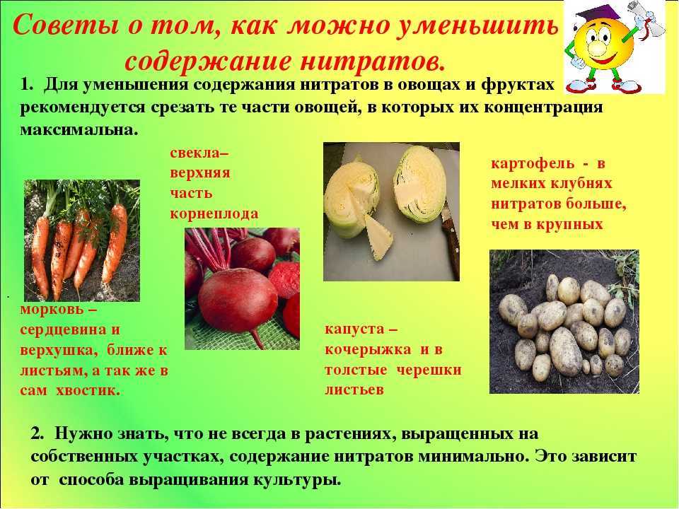 Содержание нитратов и нитритов в овощах