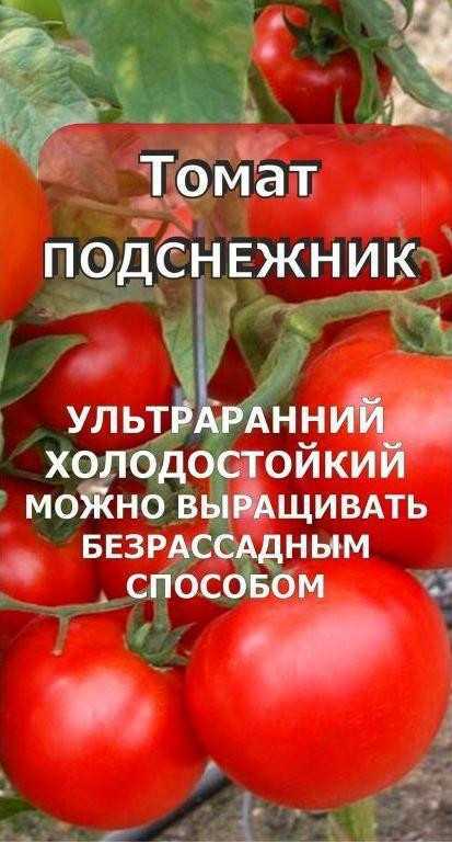 Томат подснежник: описание и характеристика сорта, особенности выращивания, посадки и ухода, отзывы, фото