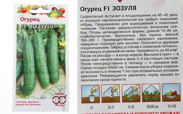 Огурцы зозуля: описание сорта, выращивание, фото, отзывы