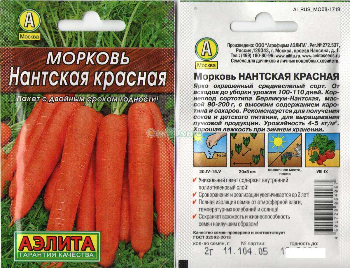 Морковь нантская 4: характеристика и описание сорта, срок созревания, фото растения и корнеплодов, как посадить овощ и собрать урожай