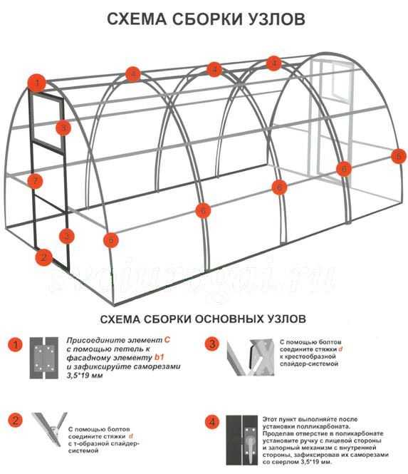 Обработка теплицы весной – восемь этапов работ и что учитывать в первую очередь