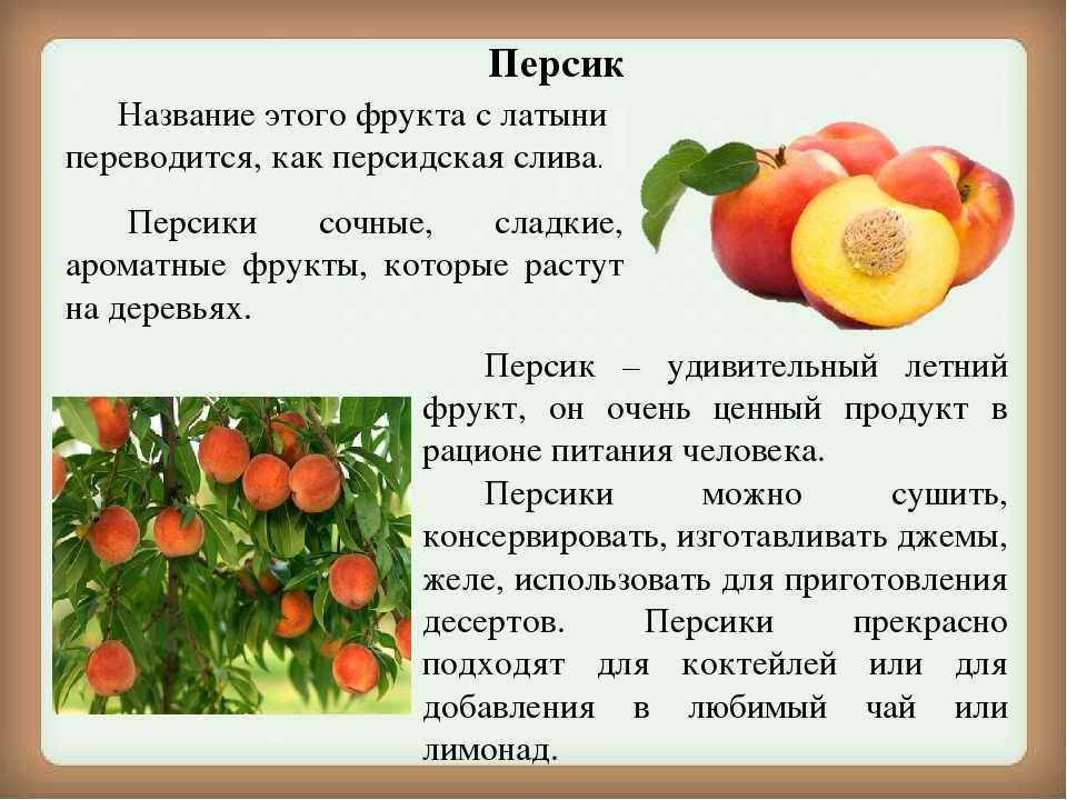 Персик киевский ранний описание сорта фото отзывы
