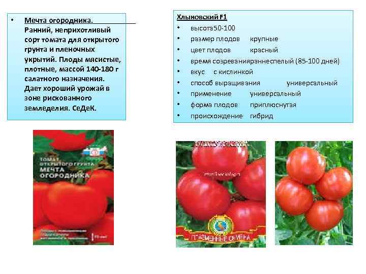 Томат хлыновский: характеристика и описание сорта, отзывы, фото, урожайность