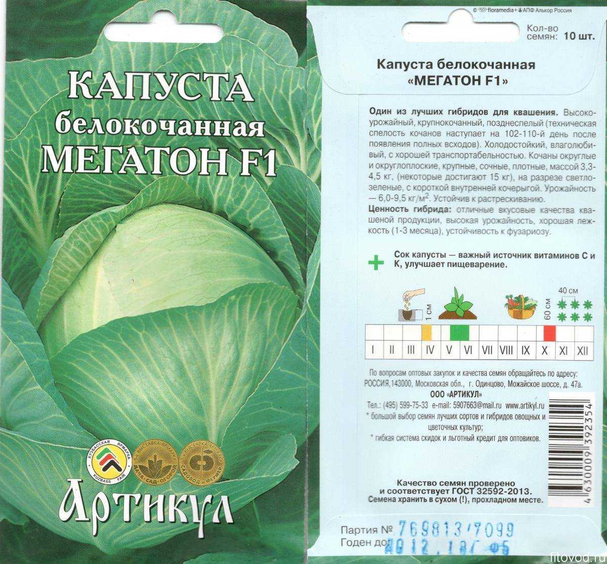 Капуста ринда: описание достоинств и недостатков, отзывы