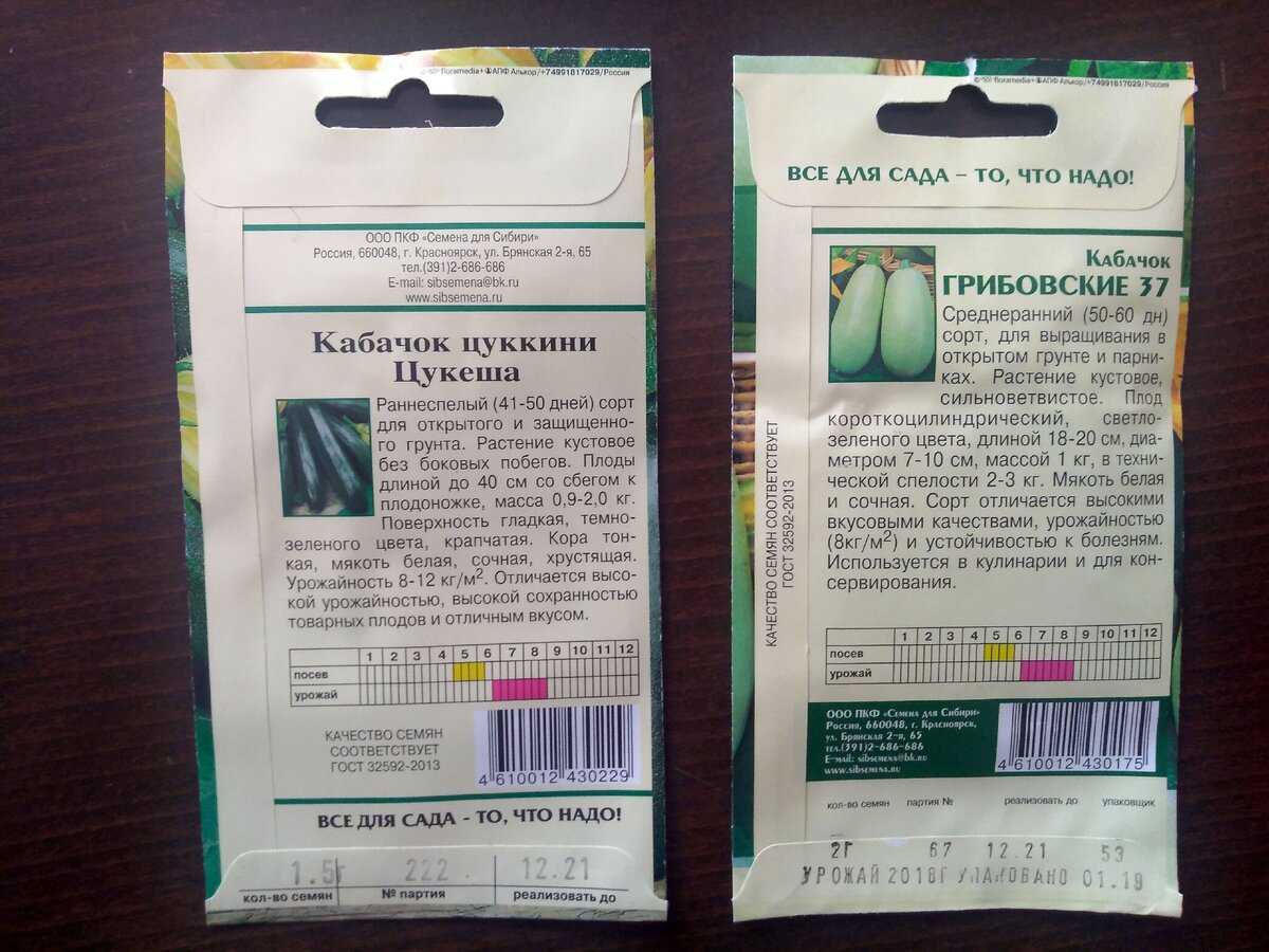 Лучшие сорта кабачков