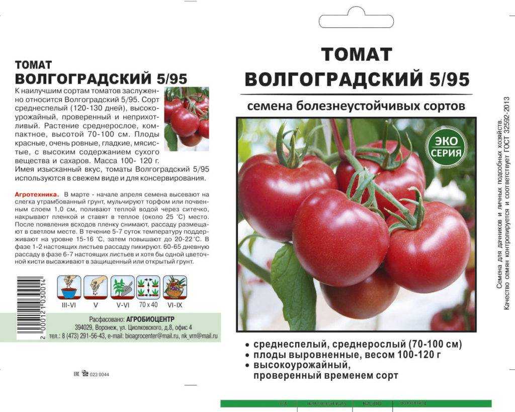 Штамбовые томаты что это за растение