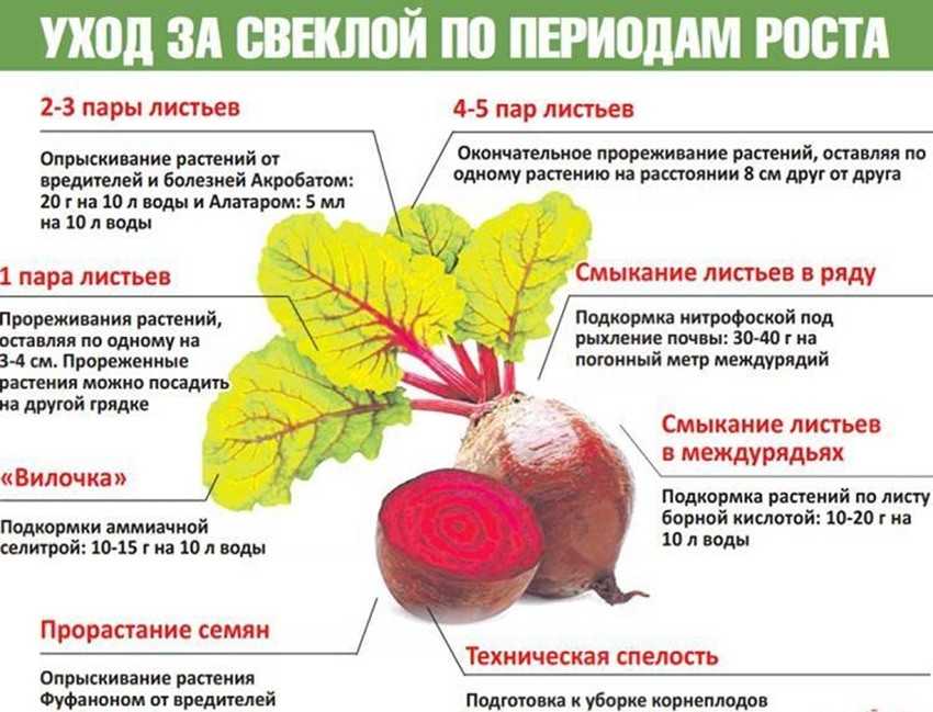 Герпес в носу, симптомы, чем лечить, мазь