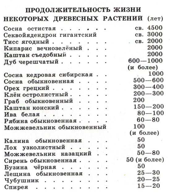 Яблони для подмосковья: лучшие сорта с описанием