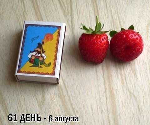 Клубника на подоконнике: возможно ли выращивание круглый год