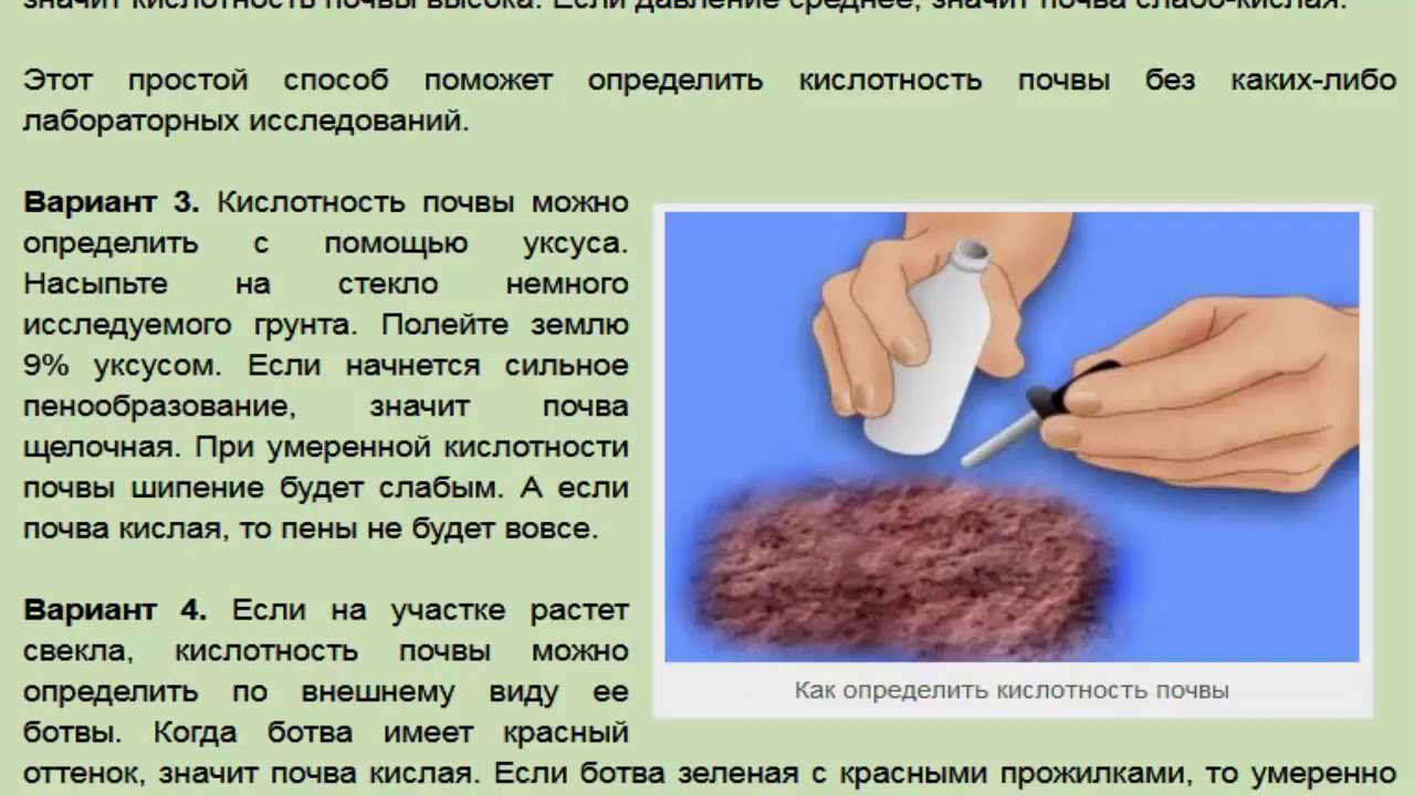Кислотность почвы — как определить и раскислить. кислая почва. что делать? — ботаничка