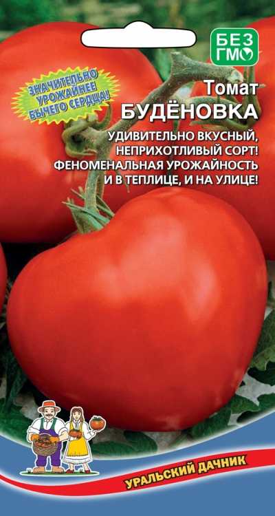 Томат буденовка – характеристика и описание сорта с фото, отзывы