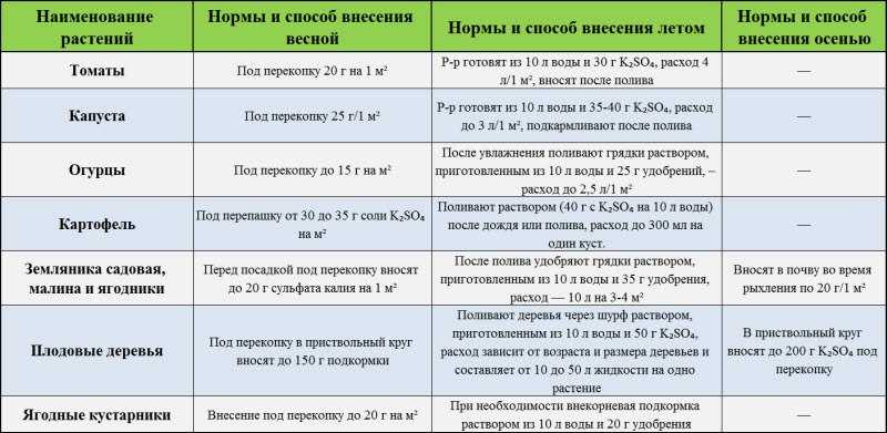 Подбираем эффективную подкормку чеснока весной