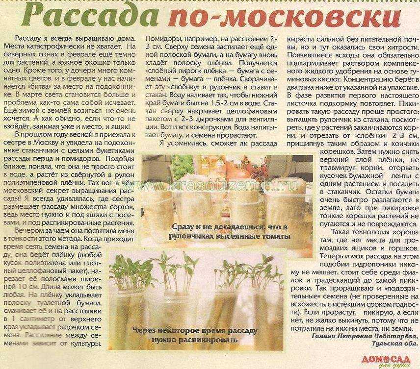 Подготовка почвы для рассады, советы дачникам