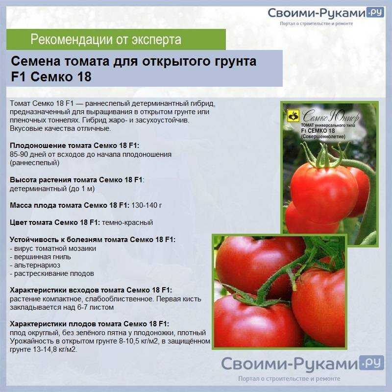 Томат "земляк": характеристика, описание сорта помидор и их фото, а также советы по выращиванию