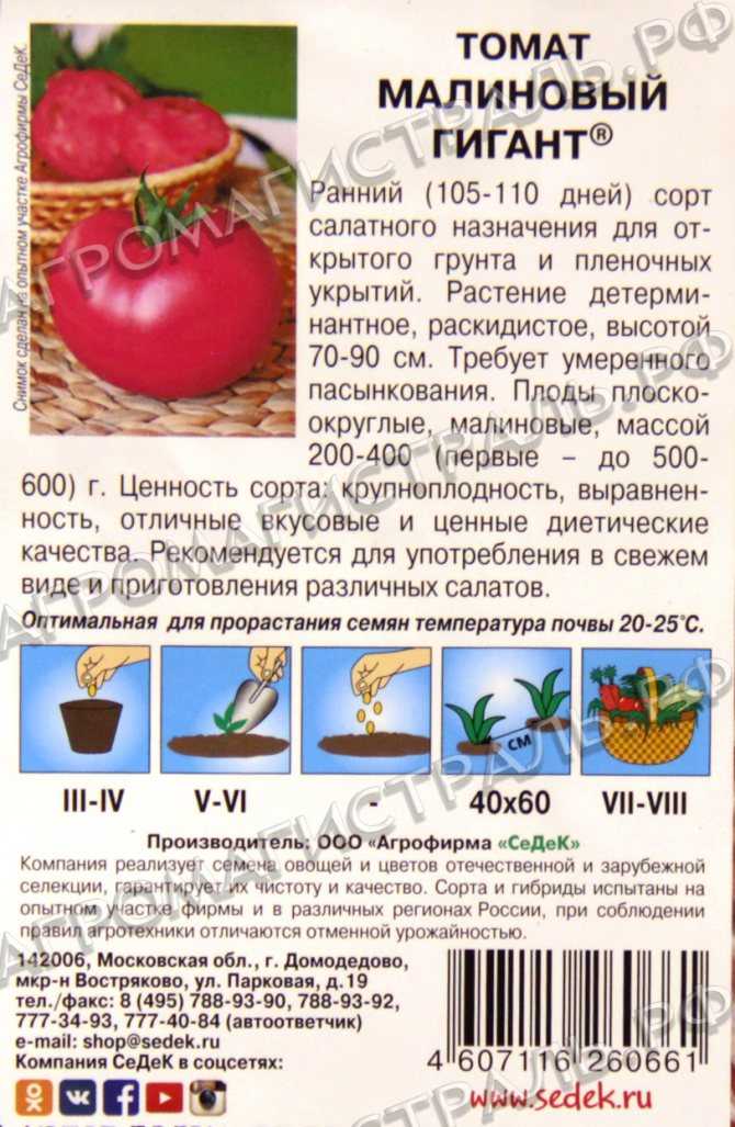 Томат малиновый звон: описание и характеристика сорта, особенности выращивания, отзывы, фото
