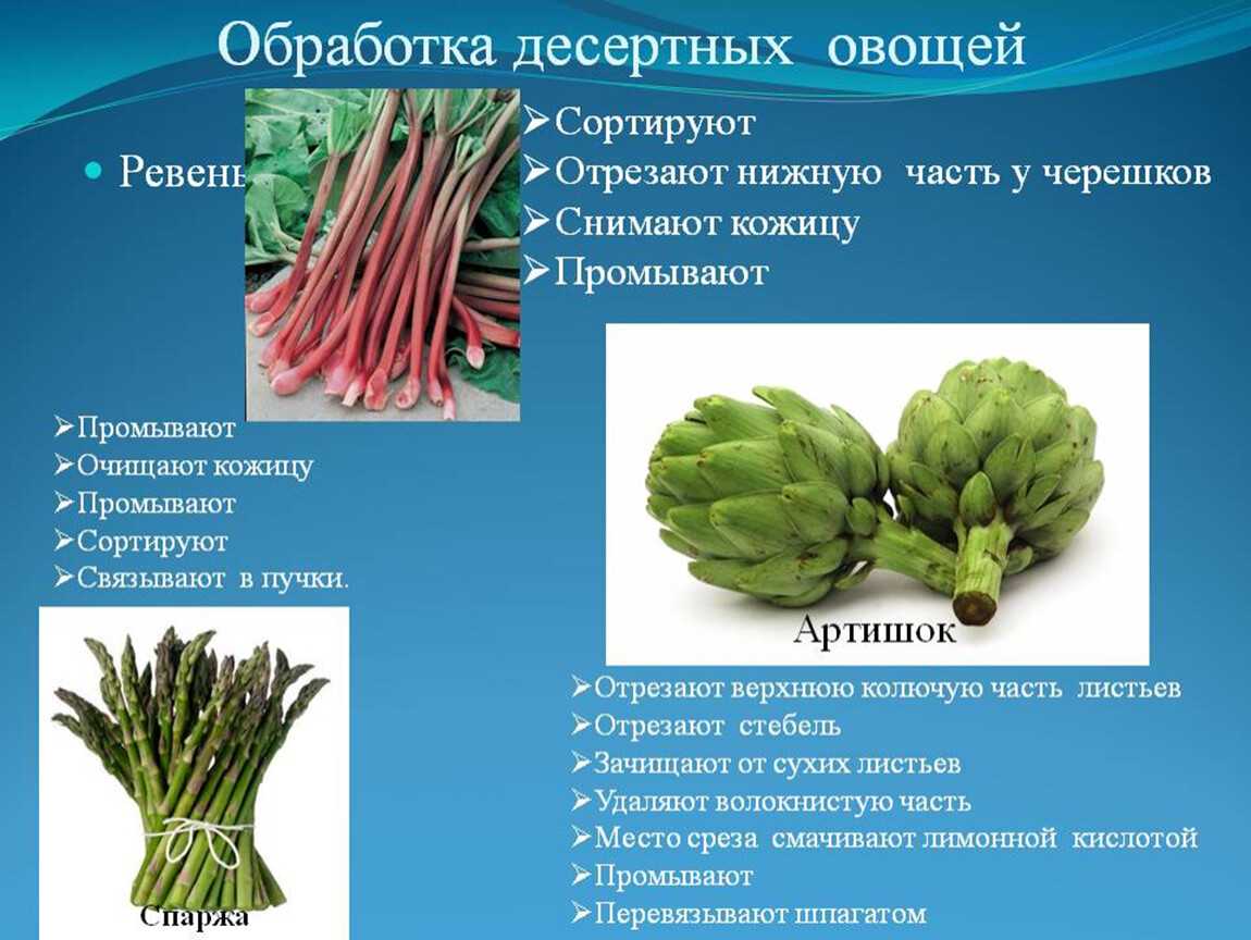 Ревень: особенности выращивания в открытом грунте