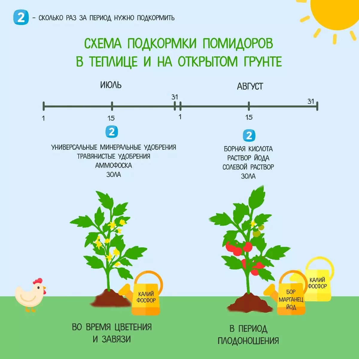 Выращивание томатов – в открытом грунте, от а до я, как правильно ухаживать, советы агронома, видео