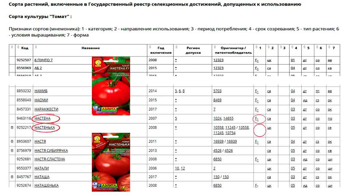 Сколько созревают томаты