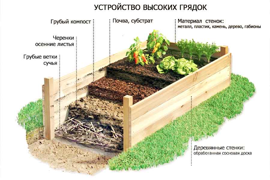 Высокие грядки на даче своими руками: пошаговая инструкция