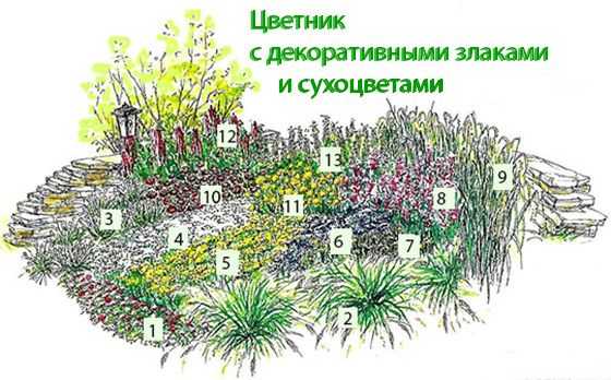 Декоративные травы для сада - лучшие виды с описанием